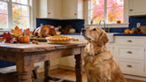Thanksgiving Foods Dogs Can and Can't Eat: A Canadian Guide to a Safe Holiday Table