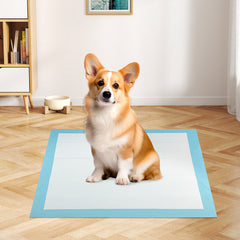 150 pieces 30 x 30 Inch Pet Wee Pee Piddle Pad Pet Supplies - view 2