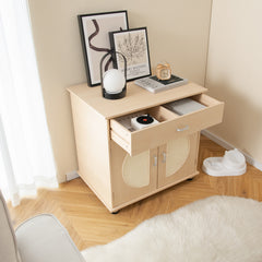 Cat Litter Box Enclosure with Sisal Scratching Doors and Storage Cat House - view 3
