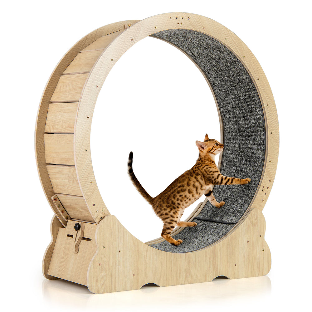 40 Inch Large Cat Exercise Wheel with Lockable Mechanism and Carpeted Runaway