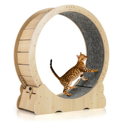 40 Inch Large Cat Exercise Wheel with Lockable Mechanism and Carpeted Runaway