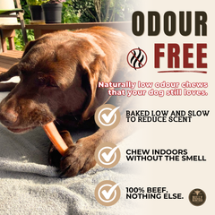 6 Inch Jumbo Bully Stick