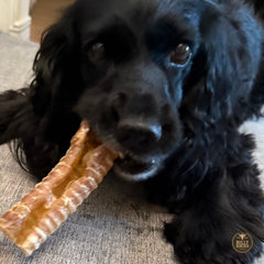 6 Inch Beef Trachea