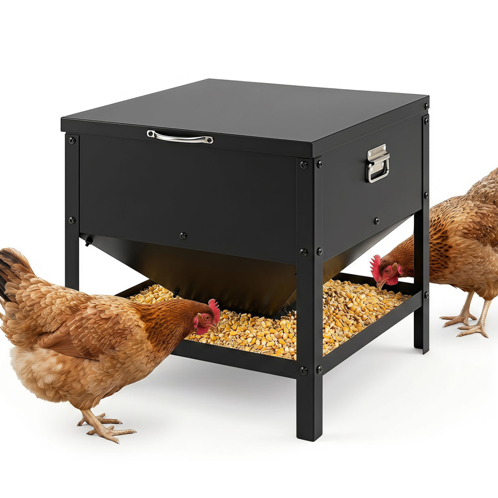 Large Capacity Chicken Feeding Box with Openable Lid Chicken Coop
