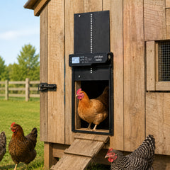 Solar Powered Automatic Chicken Coop Door - view 2