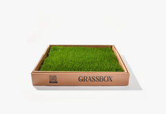 Real GrassBox Indoor Dog Potty | Live Grass Patch for Apartments (Canada)