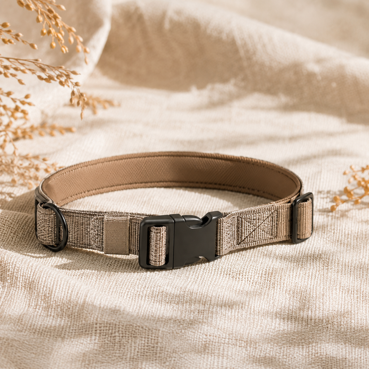 E-Collar Training in Canada: A Vet-Aligned Guide to Ethical Use