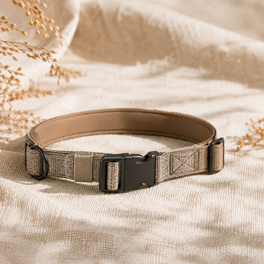 E-Collar Training in Canada: A Vet-Aligned Guide to Ethical Use