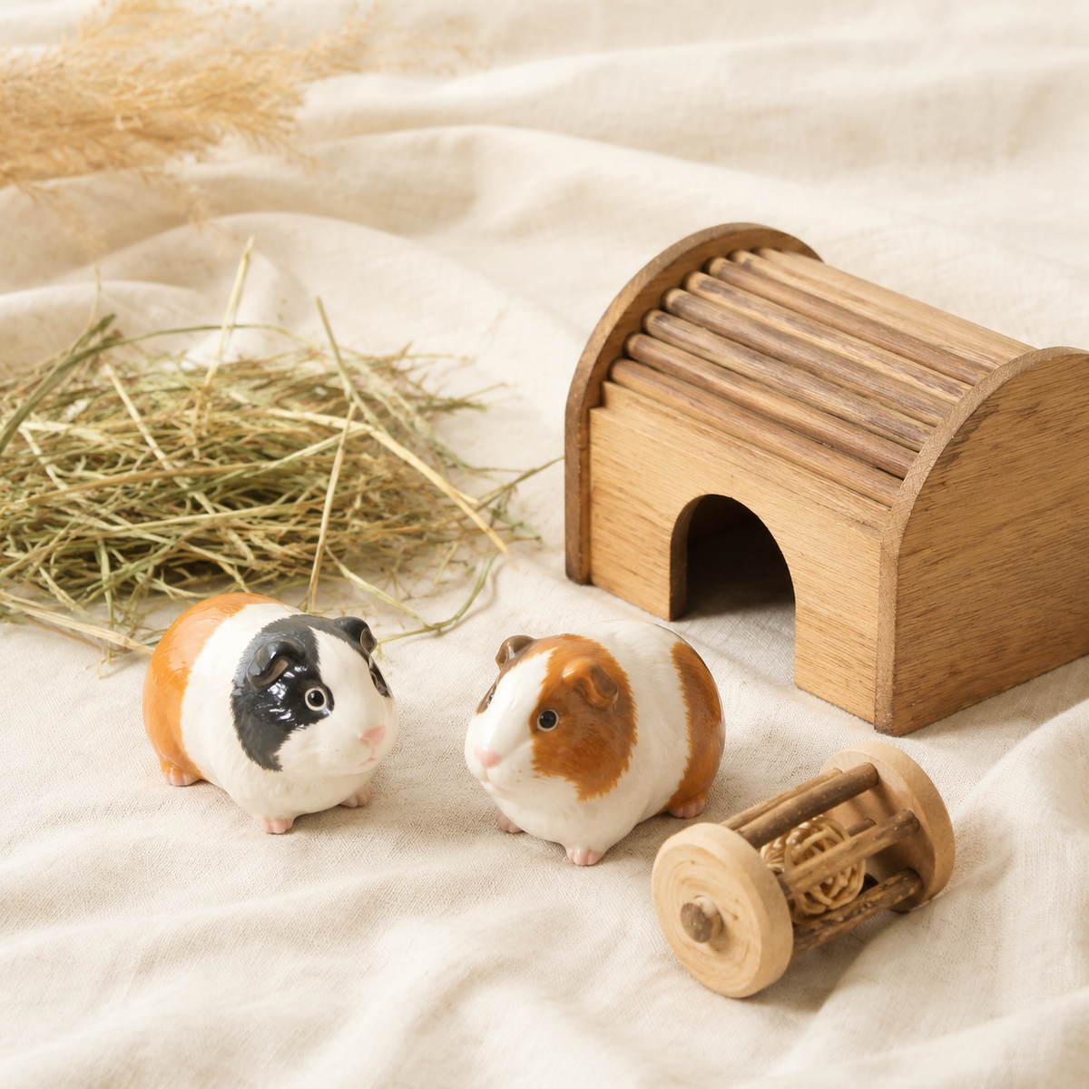 Guinea Pig Bonding: How to Help Two Pigs Get Along