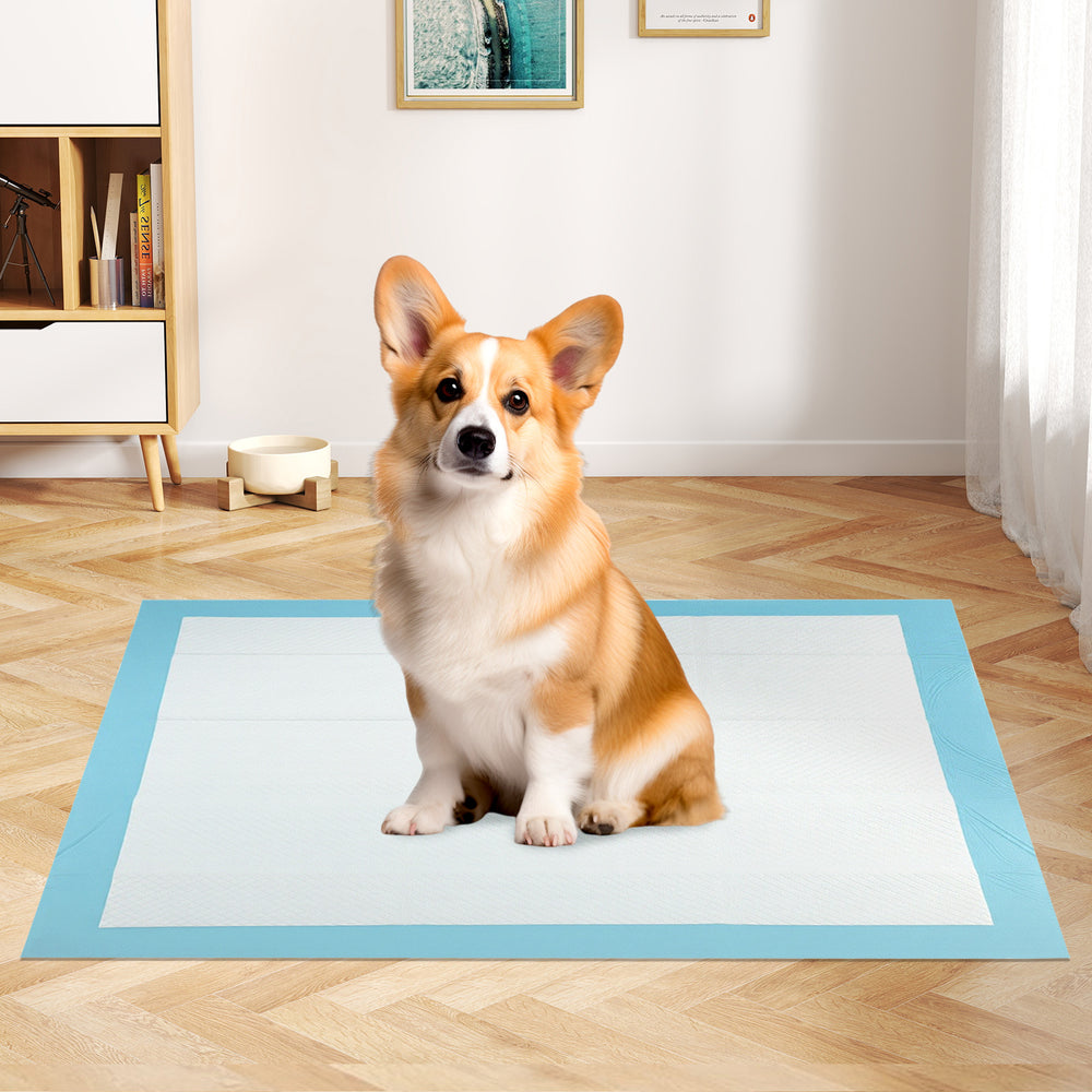 150 Pieces 24 x 36 Inch Pet Wee Pee Piddle Pad Pet Supplies - view 2