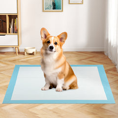 150 Pieces 24 x 36 Inch Pet Wee Pee Piddle Pad Pet Supplies - view 2