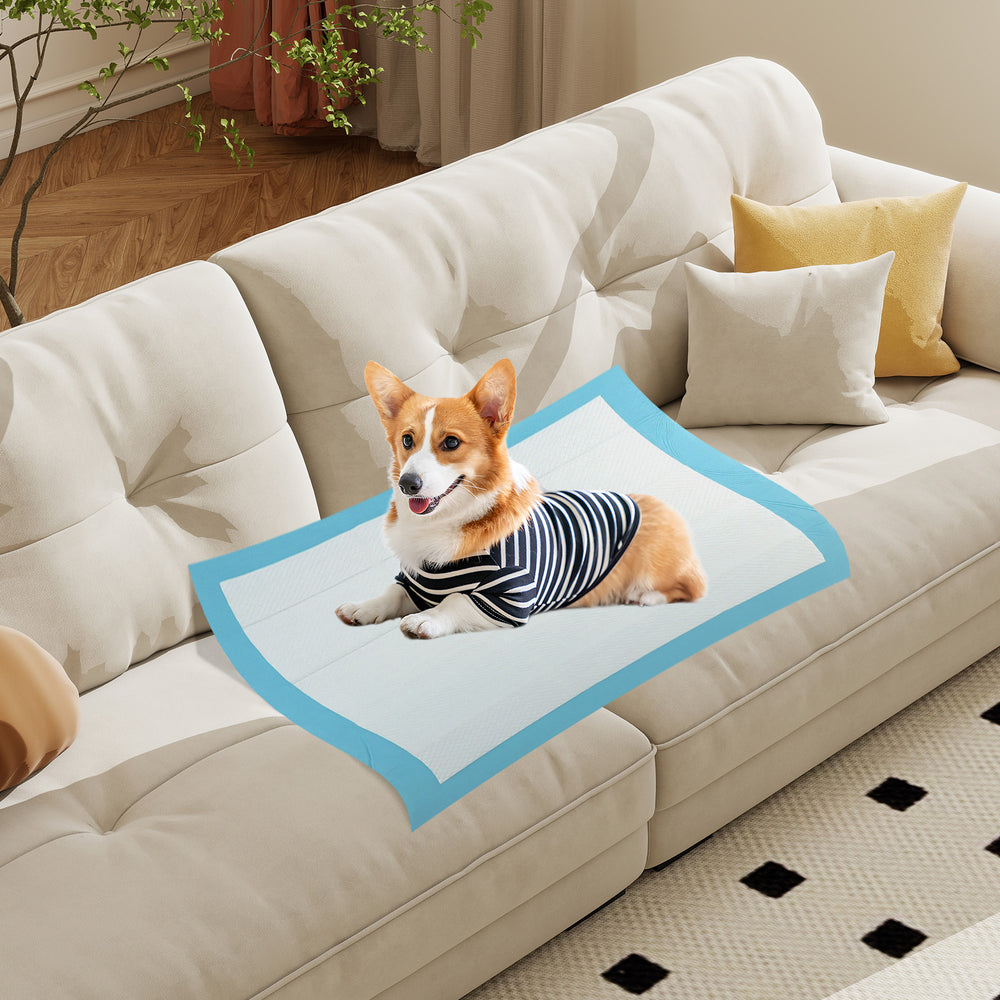 150 Pieces 24 x 36 Inch Pet Wee Pee Piddle Pad Pet Supplies - view 3