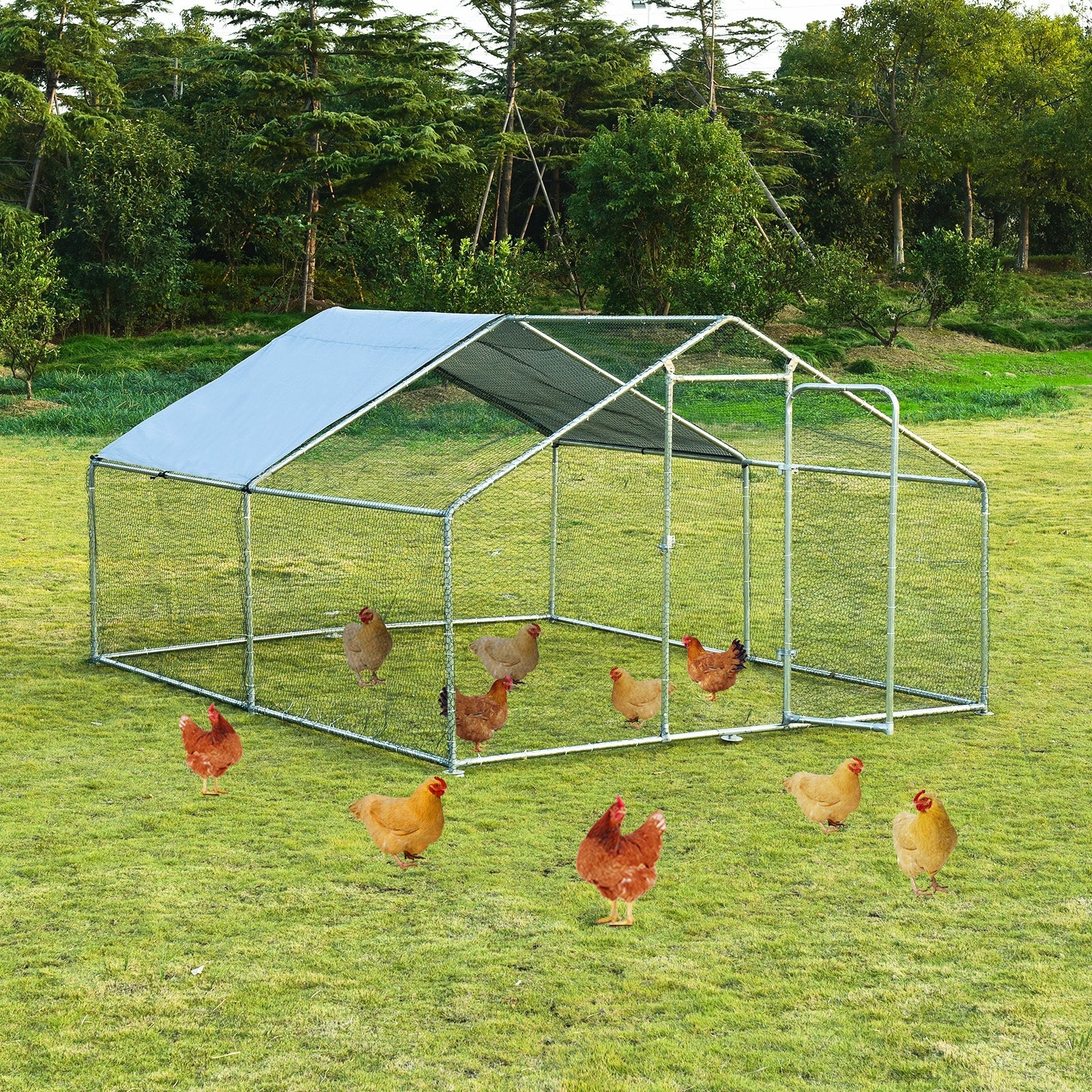 Large Walk in Shade Cage Chicken Coop with Roof Cover - view 6