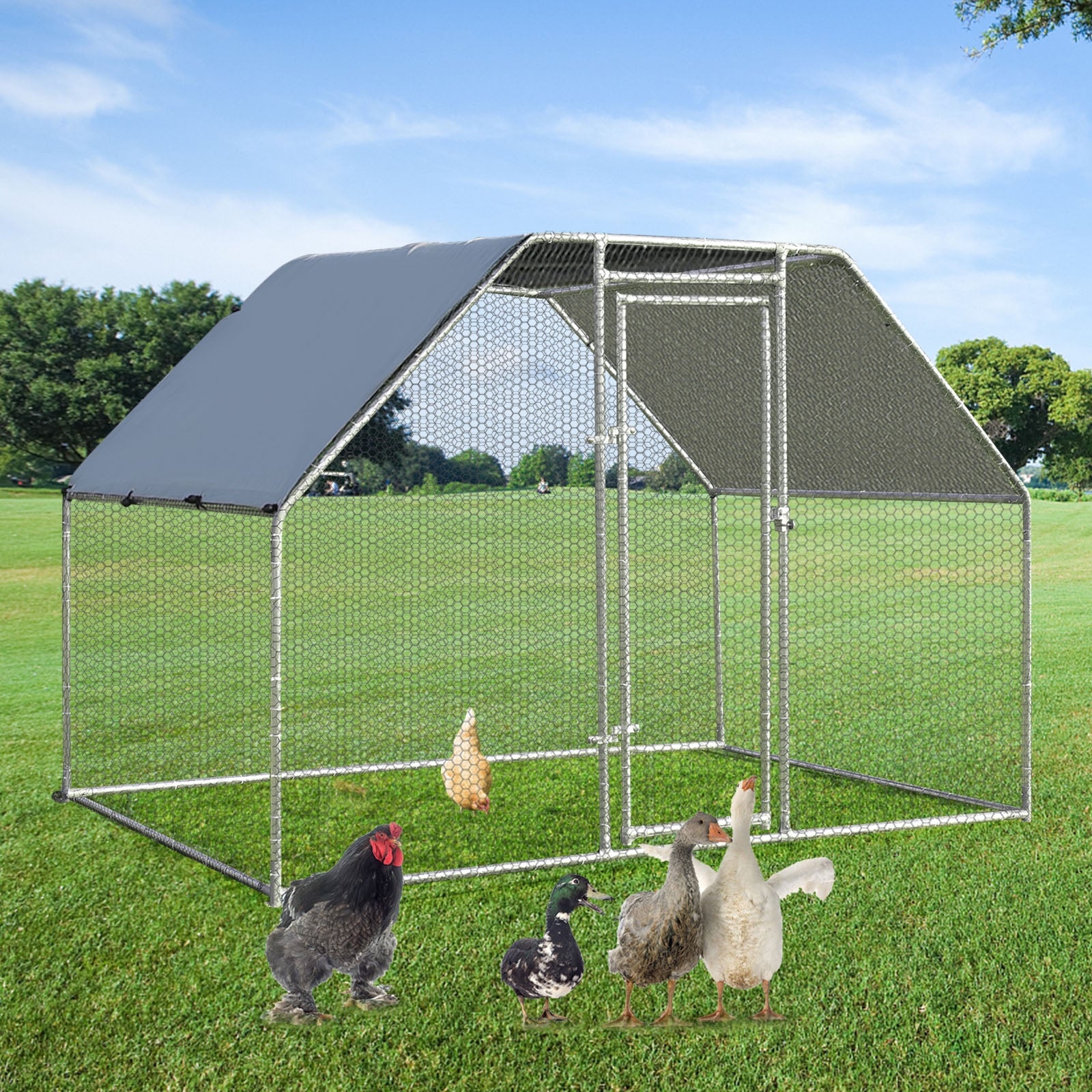 9.5 x 6.5 Feet Large Walk In Chicken Run Cage Chicken Coop - view 6