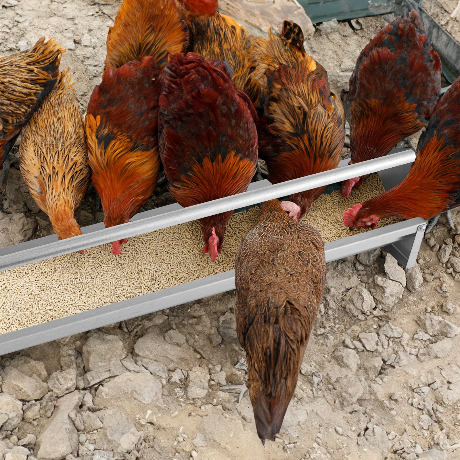 Metal Chicken Feeder Chicken Feeding Trough with Drainage Holes Chicken Coop - view 3