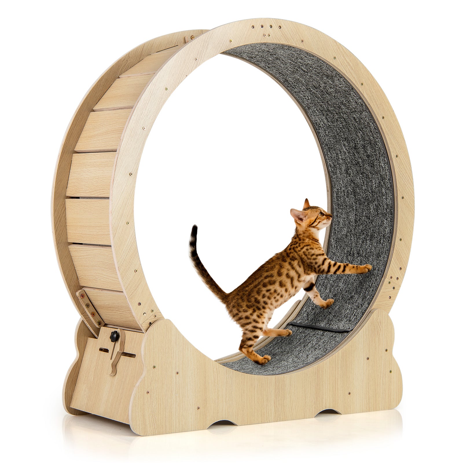 40 Inch Large Cat Exercise Wheel with Lockable Mechanism and Carpeted Runaway