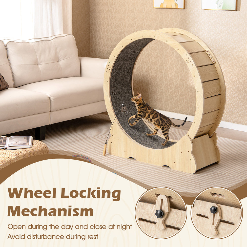 40 Inch Large Cat Exercise Wheel with Lockable Mechanism and Carpeted Runaway - view 6