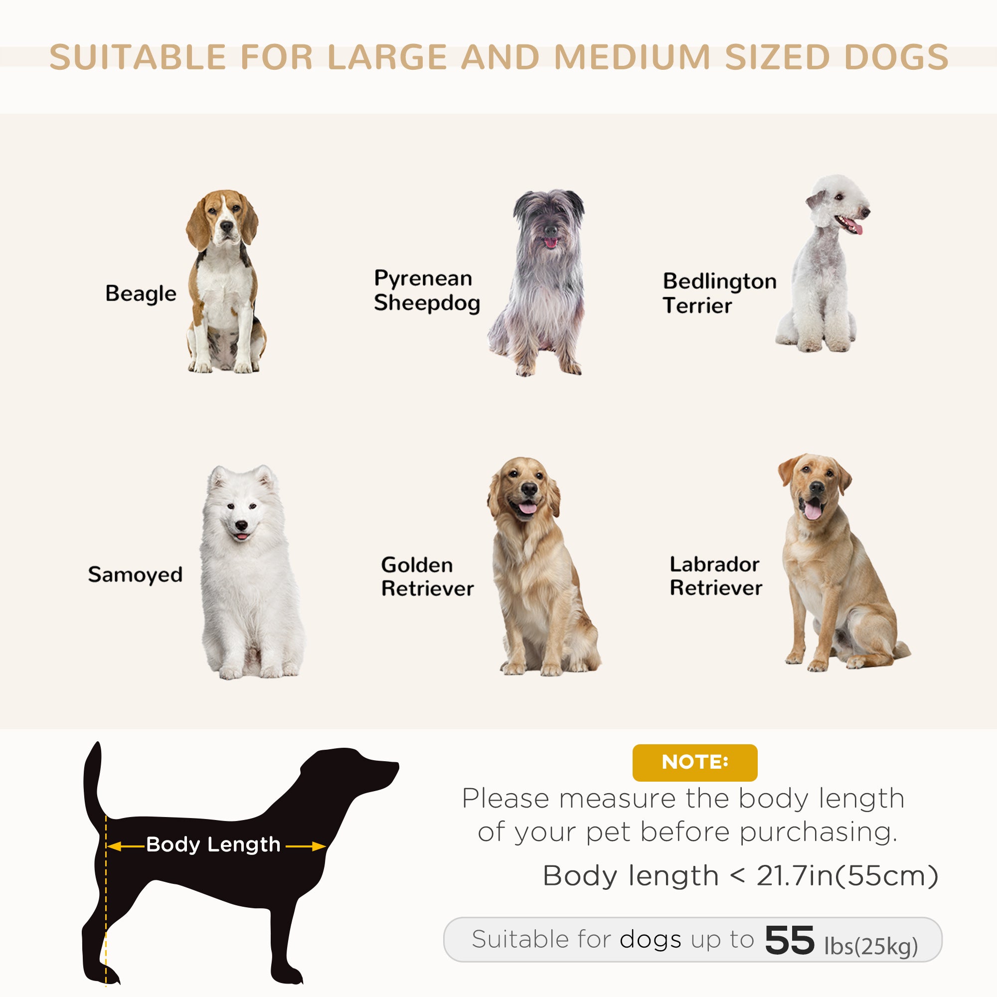 Modern Pet Sofa Cat or Medium Large Dog Bed W/ Removable Seat Cushion, Dark - view 6