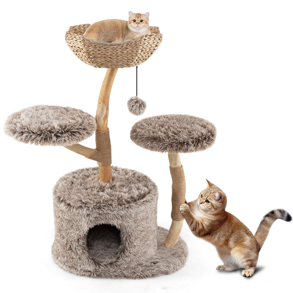 Wood Cat Tree Solid Pear Cat Tree with Perch and Sisal Scratching Posts - view 4