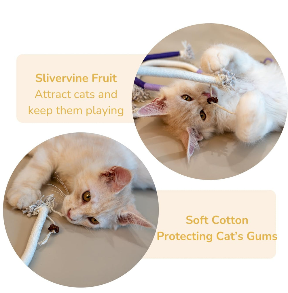 Petelligent 3-Pack Bent Cat Rope Toys | Cotton Rope, Pom Pom & Catnip - feature view 16