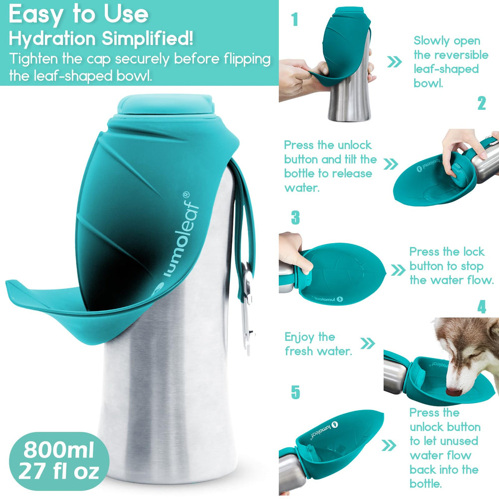 LumoLeaf 800 ml Stainless Steel Dog Water Bottle | Travel Pet Water Dispenser - feature view 14