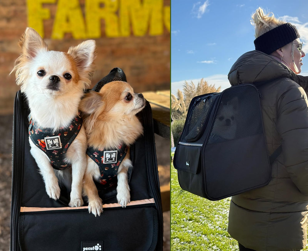 Pecute Cat Backpack Carrier | Ventilated Pet Backpack for Cats & Small Dogs - feature view 14