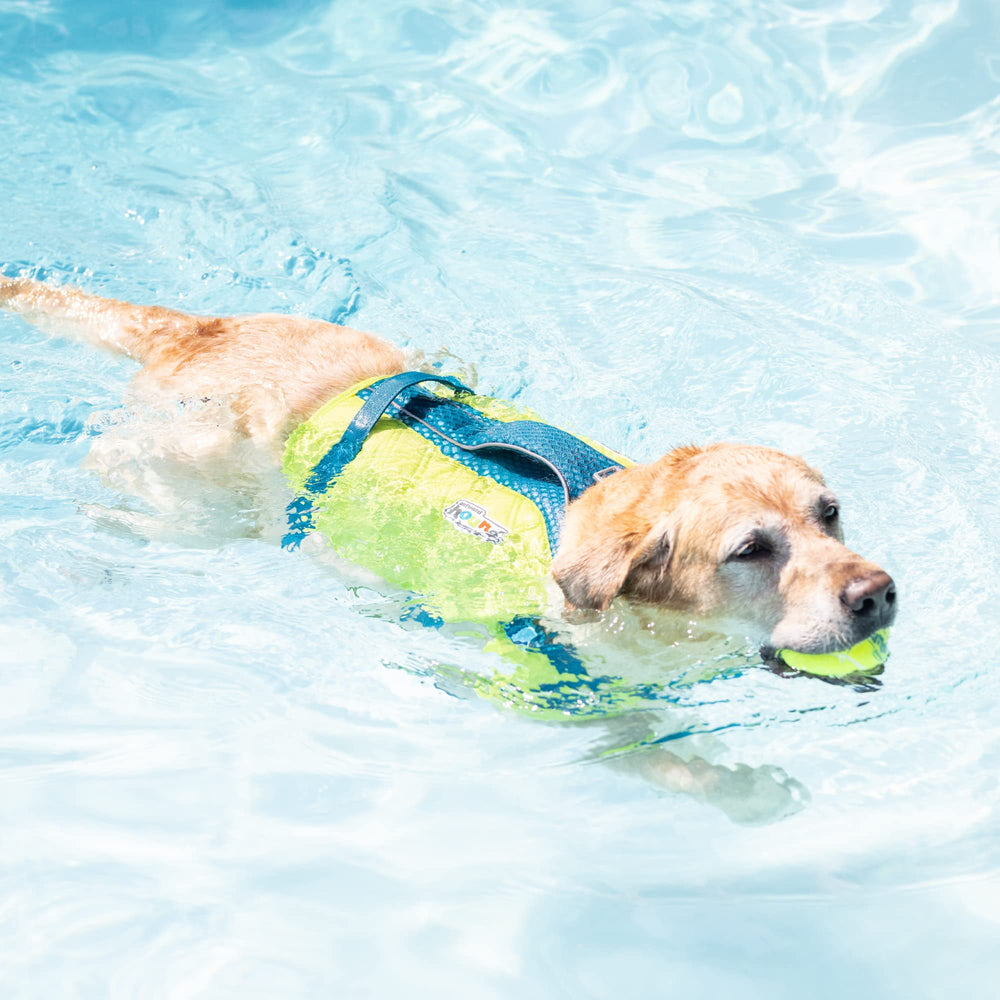 Outward Hound Granby Splash Orange Dog Life Jacket (Large) | Ripstop Vest - view 62