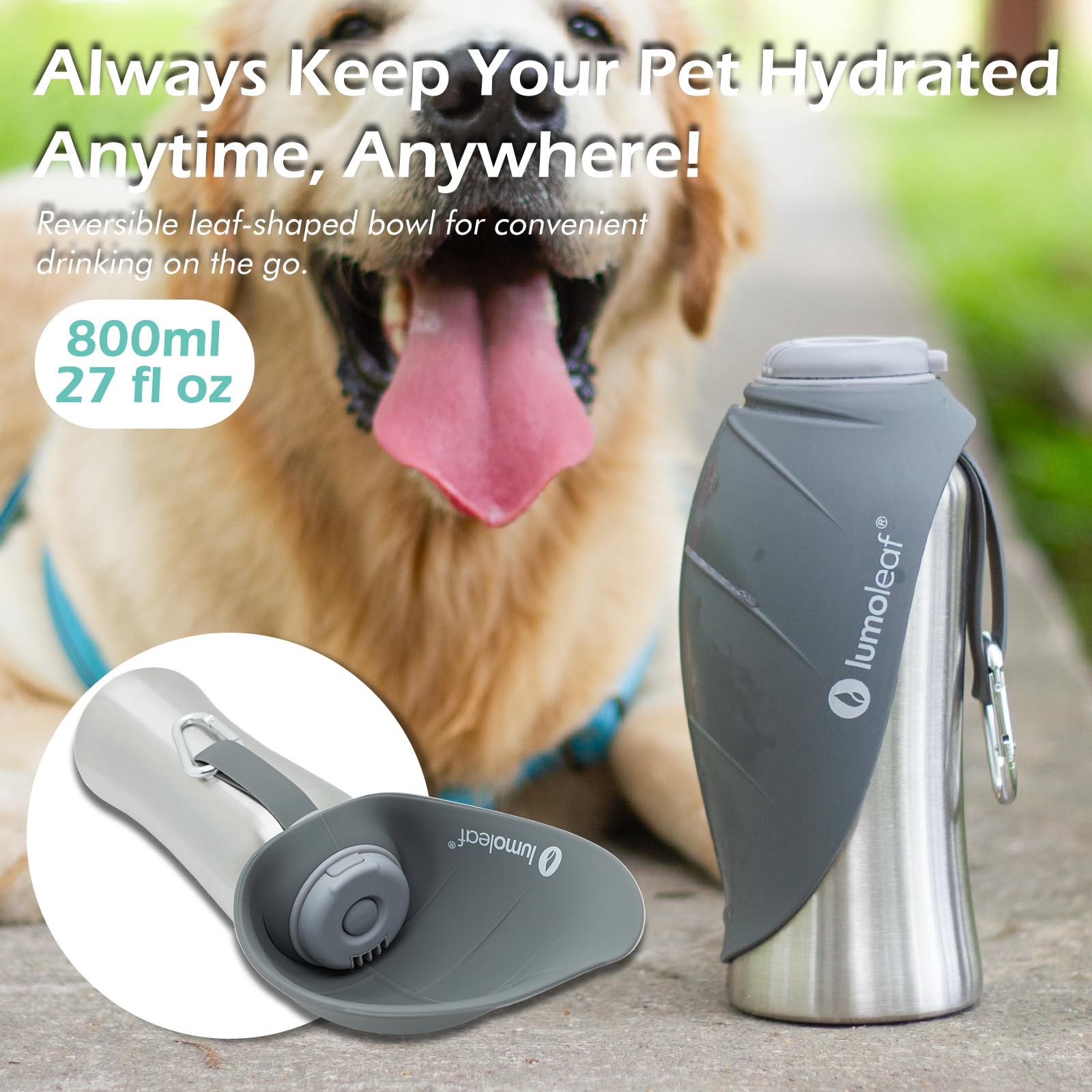 LumoLeaf 800 ml Stainless Steel Dog Water Bottle | Travel Pet Water Dispenser - feature view 22