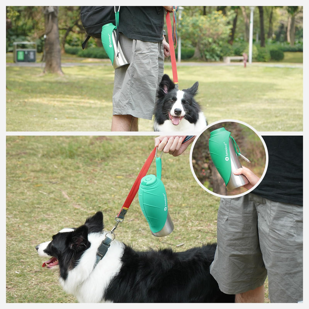 LumoLeaf 800 ml Stainless Steel Dog Water Bottle | Travel Pet Water Dispenser - feature view 8