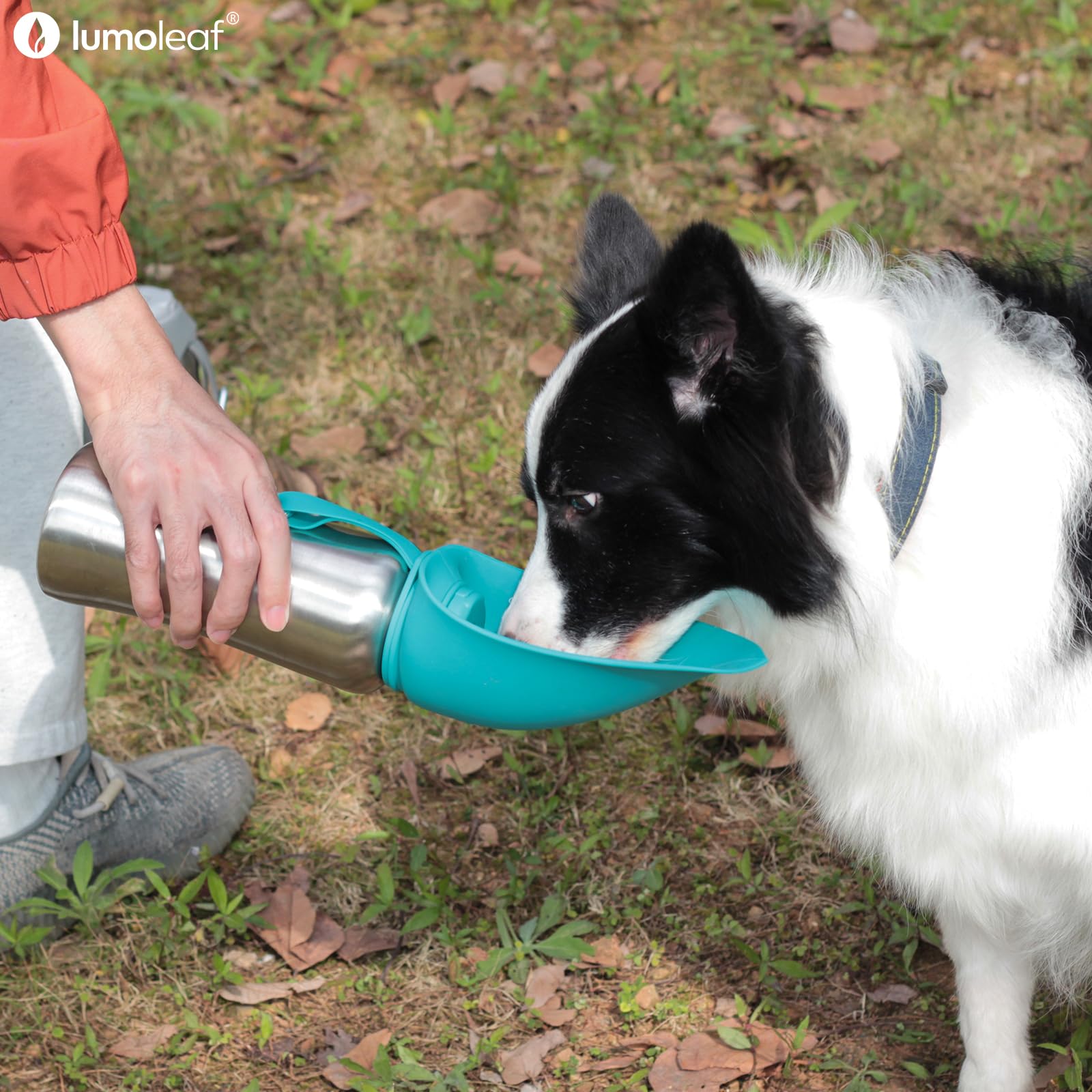 LumoLeaf 800 ml Stainless Steel Dog Water Bottle | Travel Pet Water Dispenser - feature view 11