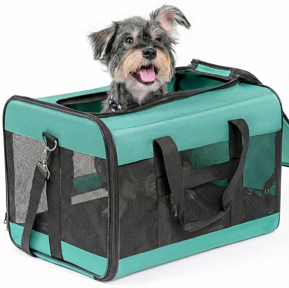 Conlun Airline-Approved Cat Carrier | Soft-Sided with Safety Leash, 15 lb - 51L x 30W x 30H cm / Turquoise