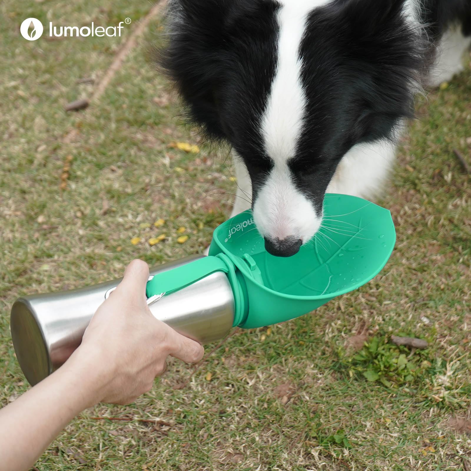 LumoLeaf 800 ml Stainless Steel Dog Water Bottle | Travel Pet Water Dispenser - feature view 9