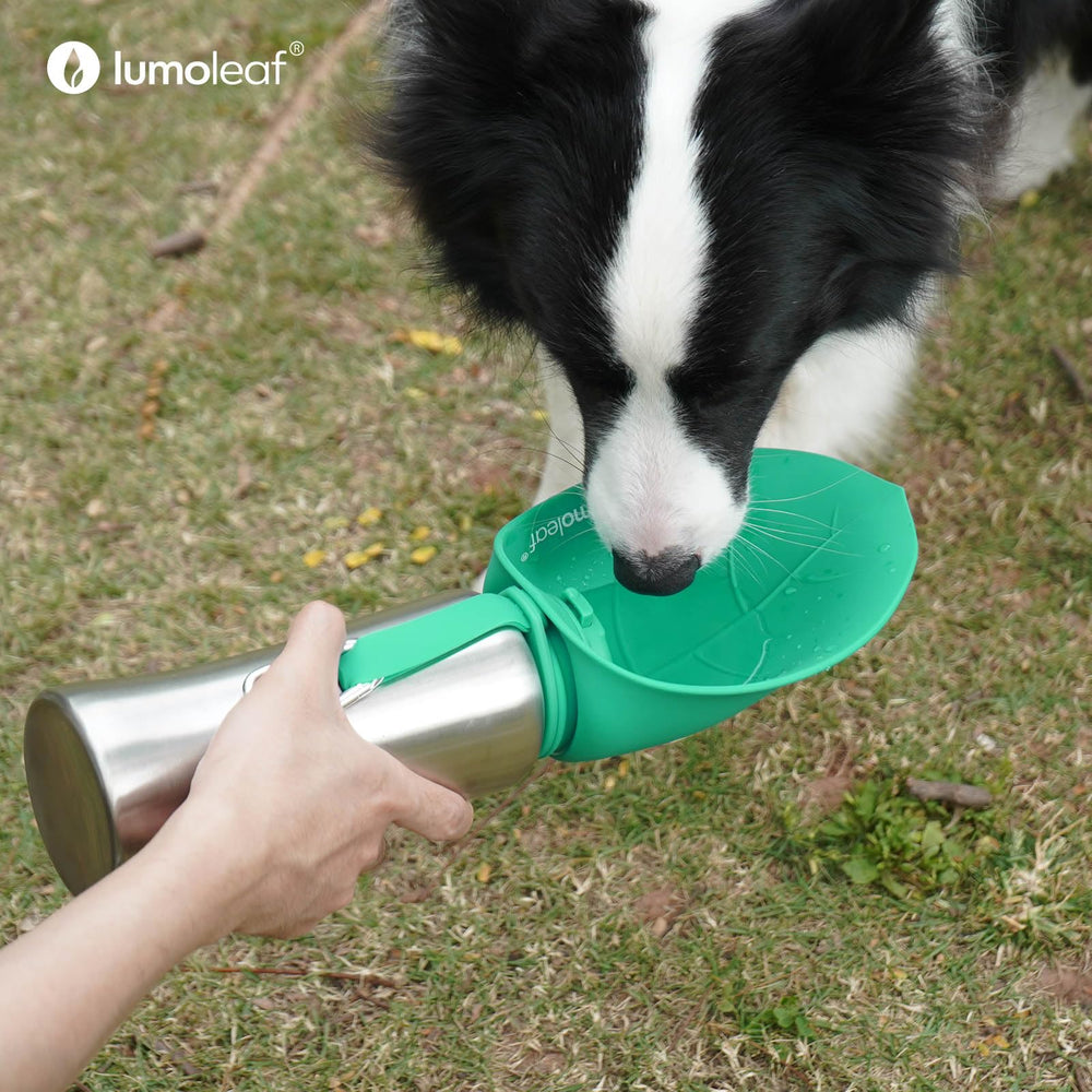 LumoLeaf 800 ml Stainless Steel Dog Water Bottle | Travel Pet Water Dispenser - feature view 9