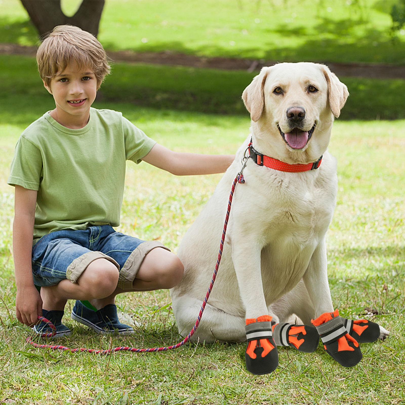 Waterproof Dog Boots 4-Pack | Reflective Paw Protectors, Non-Slip Sole - view 60