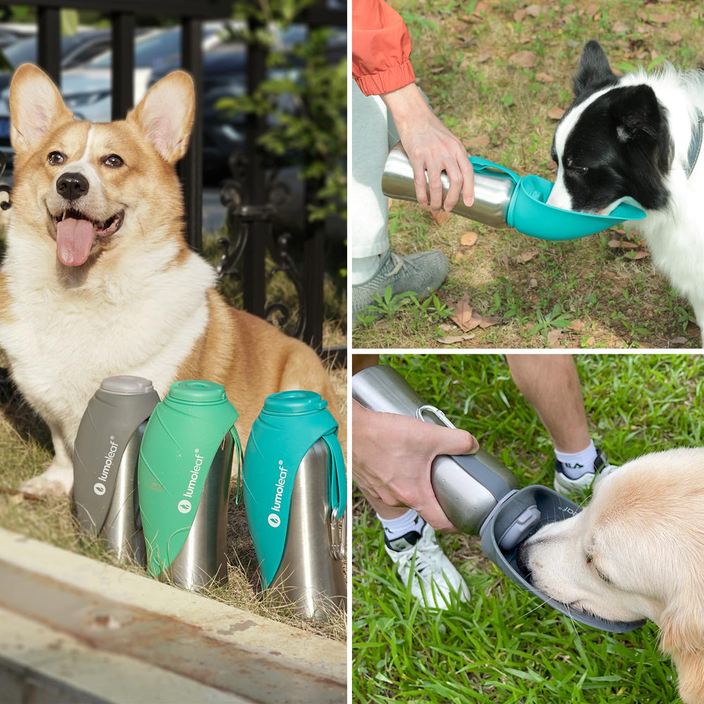 LumoLeaf 800 ml Stainless Steel Dog Water Bottle | Travel Pet Water Dispenser - feature view 23