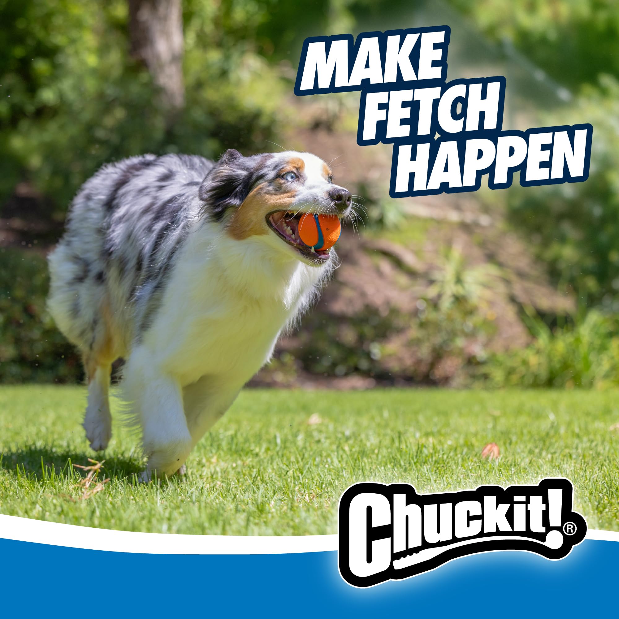 Chuckit! Ultra Ball Medium (2.5 in) 2-Pack | High-Bounce Rubber Fetch Toy - feature view 44