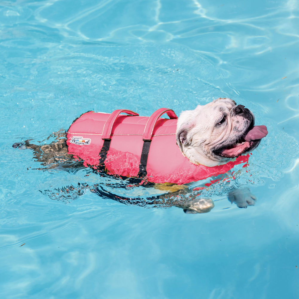 Outward Hound Granby Splash Orange Dog Life Jacket (Large) | Ripstop Vest - view 55