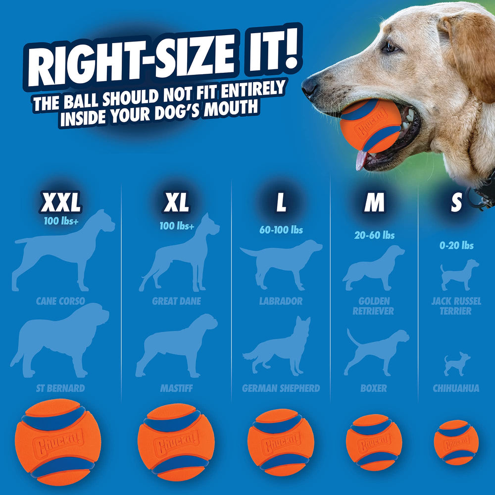 Chuckit! Ultra Ball Medium (2.5 in) 2-Pack | High-Bounce Rubber Fetch Toy - feature view 12
