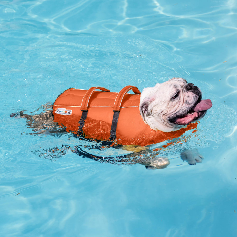 Outward Hound Granby Splash Orange Dog Life Jacket (Large) | Ripstop Vest - view 68