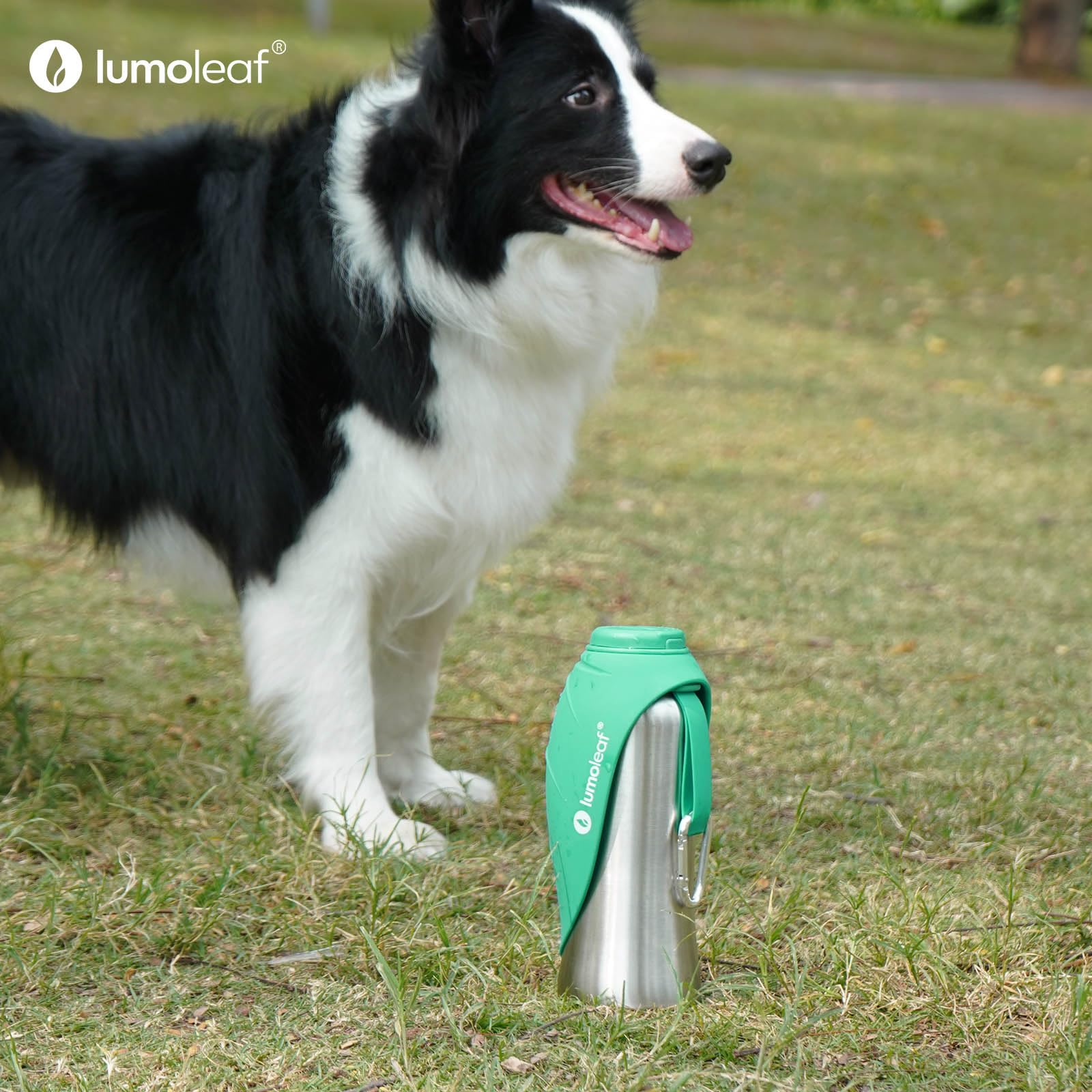 LumoLeaf 800 ml Stainless Steel Dog Water Bottle | Travel Pet Water Dispenser - feature view 10