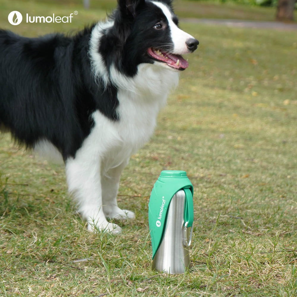 LumoLeaf 800 ml Stainless Steel Dog Water Bottle | Travel Pet Water Dispenser - feature view 10