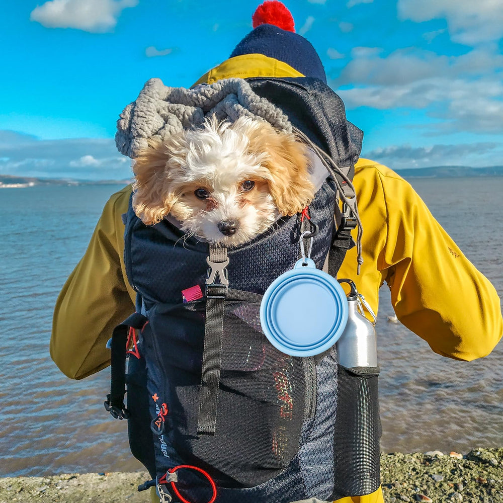 SLSON Collapsible Dog Bowls 2-Pack | Macaron Silicone Travel Pet Bowls - feature view 20