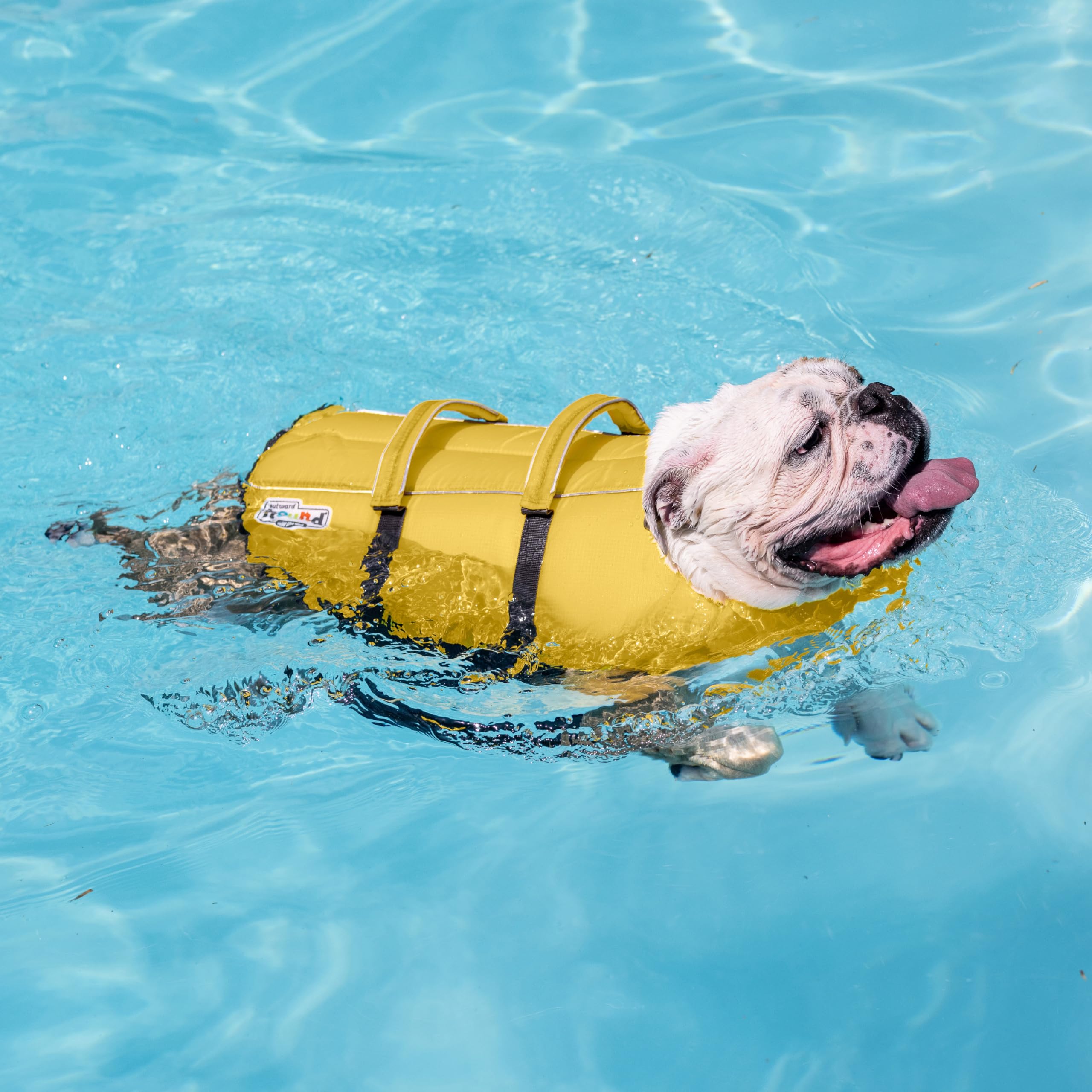 Outward Hound Granby Splash Orange Dog Life Jacket (Large) | Ripstop Vest - feature view 41