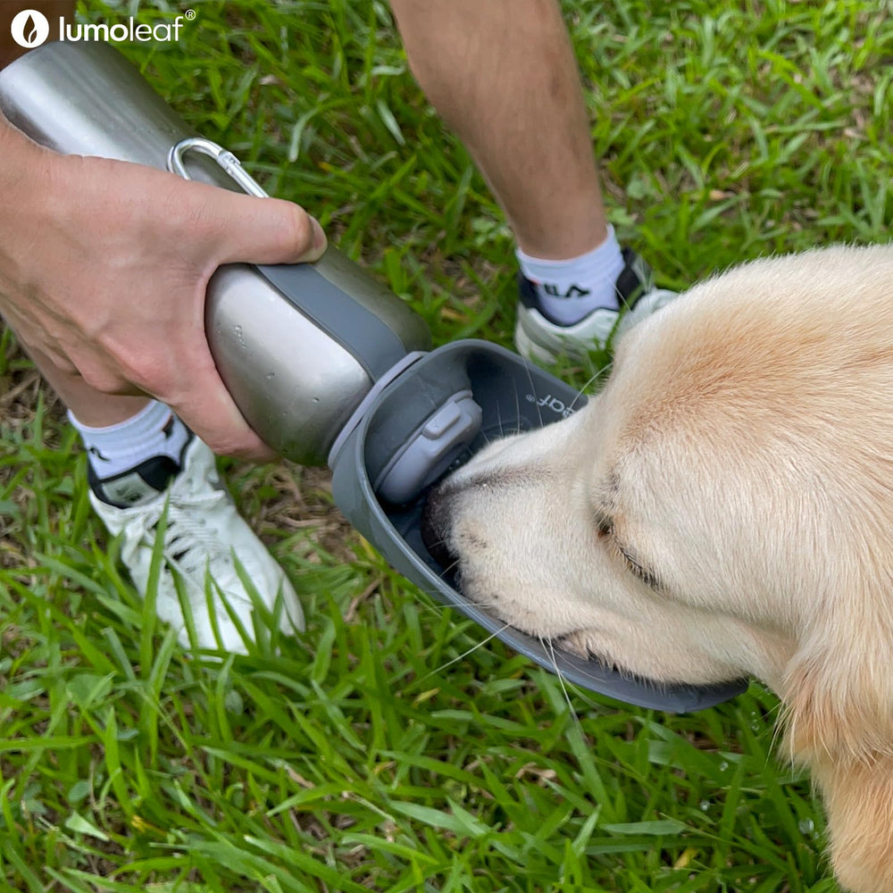LumoLeaf 800 ml Stainless Steel Dog Water Bottle | Travel Pet Water Dispenser - feature view 18