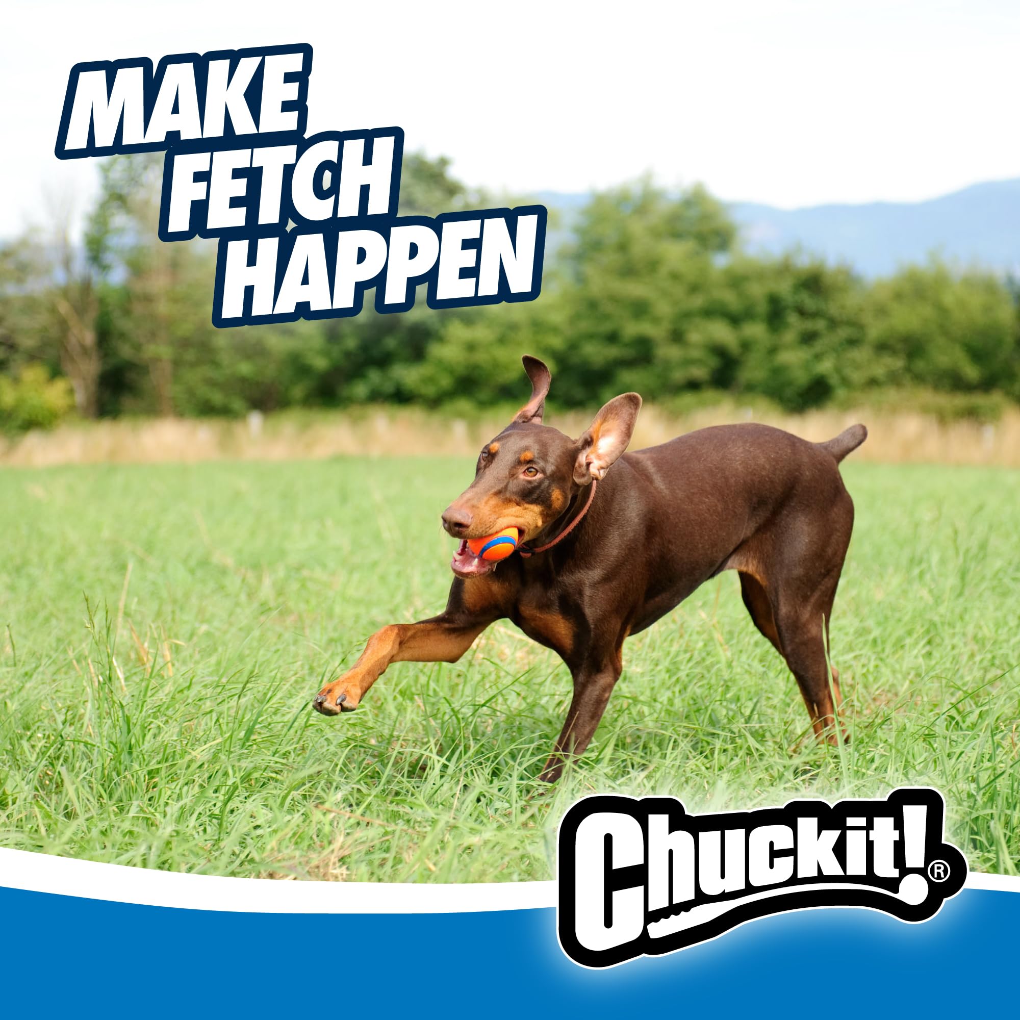 Chuckit! Ultra Ball Medium (2.5 in) 2-Pack | High-Bounce Rubber Fetch Toy - feature view 37