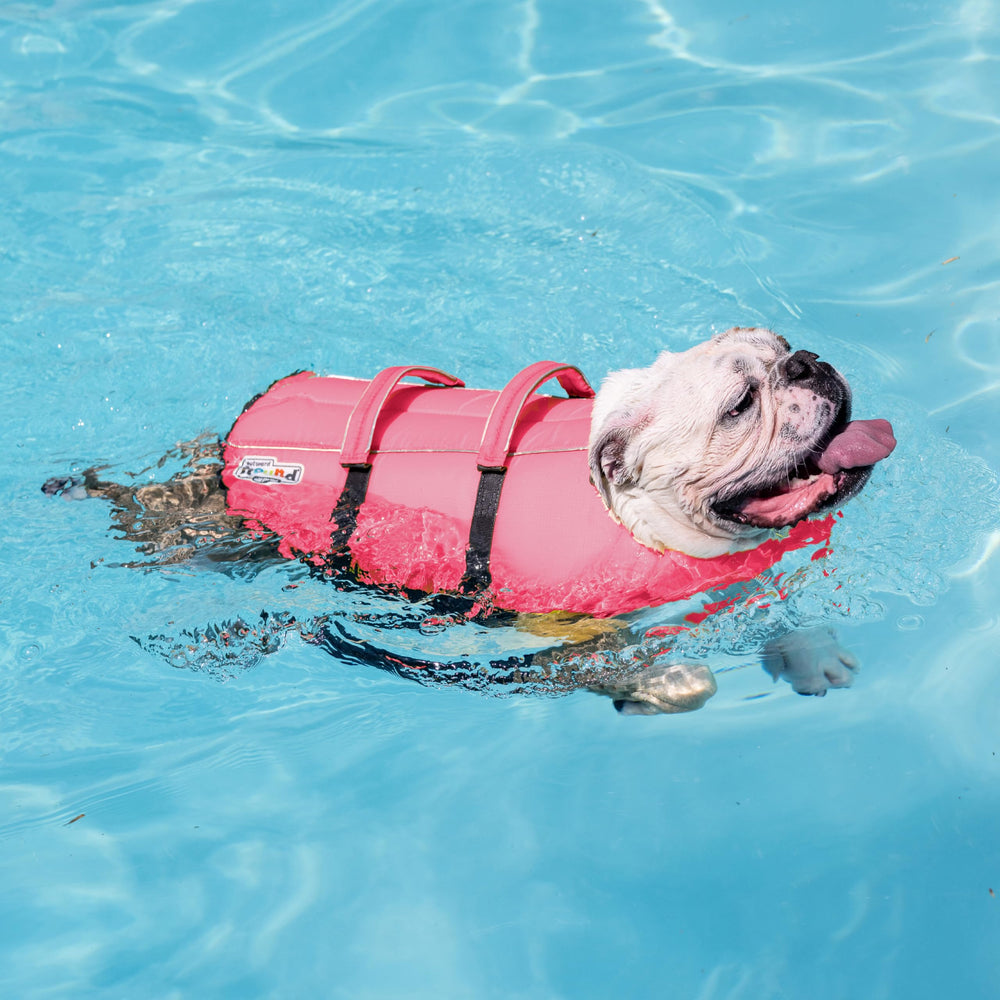 Outward Hound Granby Splash Orange Dog Life Jacket (Large) | Ripstop Vest - view 82