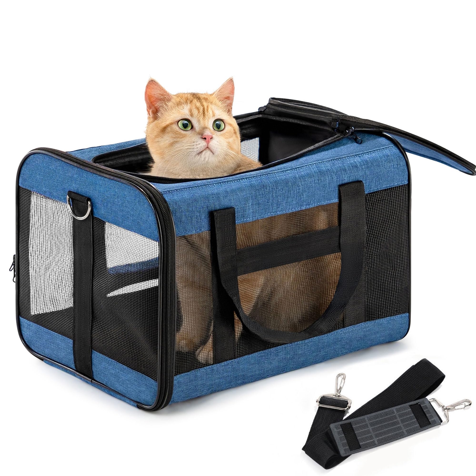 Conlun Airline-Approved Cat Carrier | Soft-Sided with Safety Leash, 15 lb - 43L x 28W x 28H cm / Blue