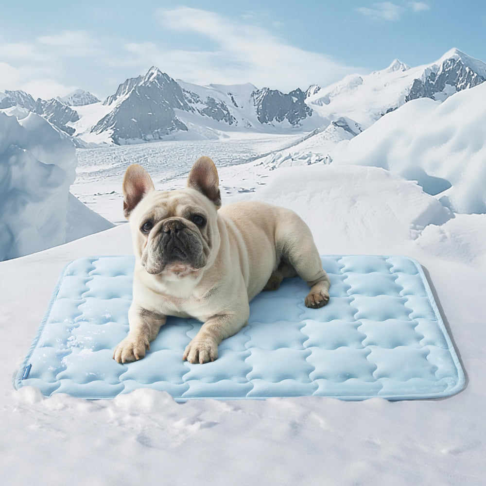 Bedsure Dog Cooling Mat 104 x 71 cm | XL Q-Max>0.5 Washable Pet Cooling Pad - 73 x 53 cm / Baby Blue