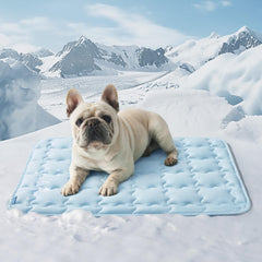 Bedsure Dog Cooling Mat 104 x 71 cm | XL Q-Max>0.5 Washable Pet Cooling Pad - 73 x 53 cm / Baby Blue