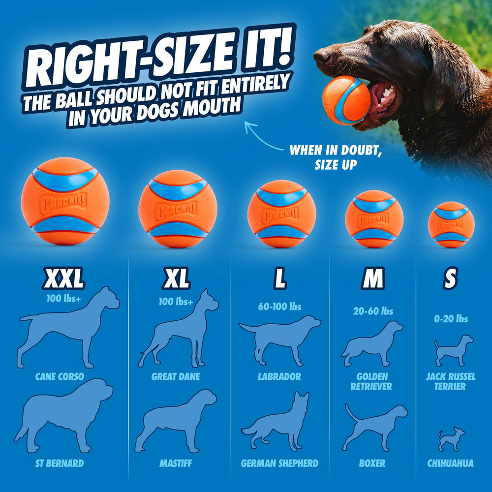 Chuckit! Ultra Ball Medium (2.5 in) 2-Pack | High-Bounce Rubber Fetch Toy - feature view 35